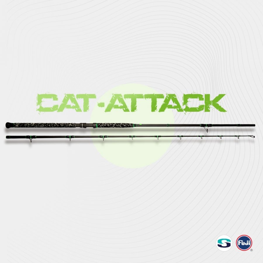 Cat-Attack