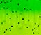Acid Green (DT)