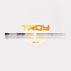 Troy 200 | 25